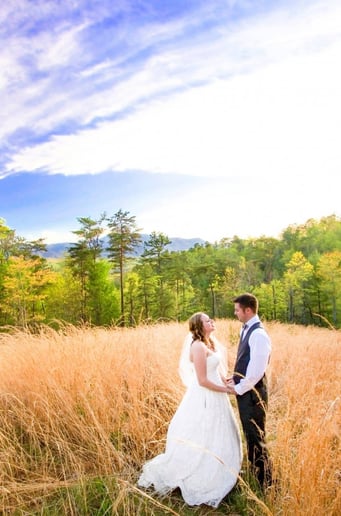 Gallery photo 3 of Absolute Wedding Perfection