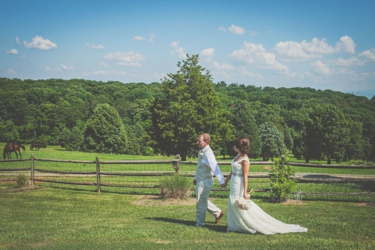 Gallery photo 6 of Absolute Wedding Perfection