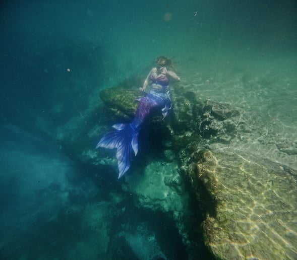 Gallery photo 6 of Acadiana Merfolk