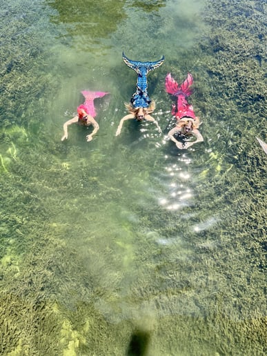 Gallery photo 9 of Acadiana Merfolk
