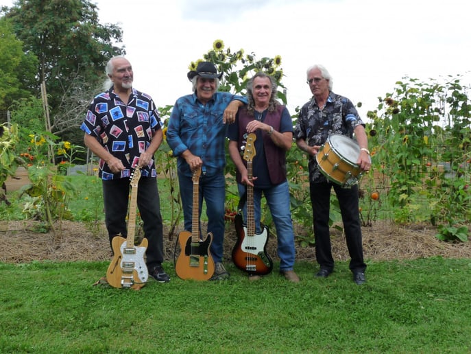 Gallery photo 2 of Accidental Paradise Country Rock Band