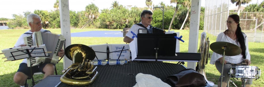 Gallery photo 7 of Accordion Pleasures
