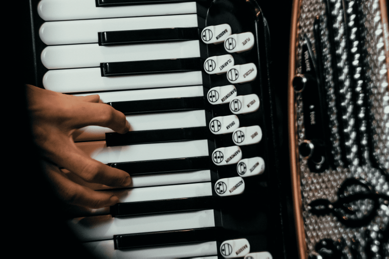 Gallery photo 4 of Accordionist and Jazz Piano player