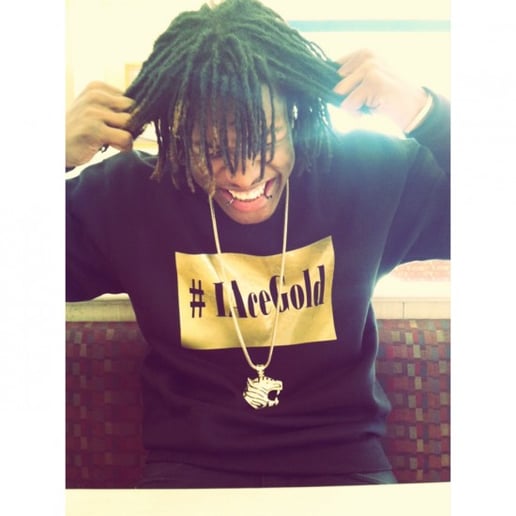 Gallery photo 2 of Ace Swagg