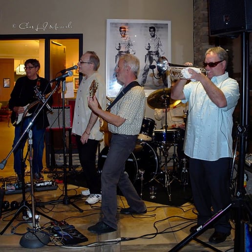 Gallery photo 1 of Acoustic Daze