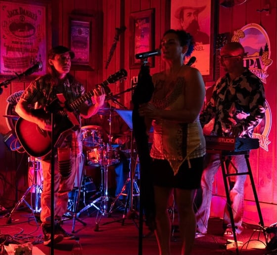 Gallery photo 2 of Acoustically Speaking