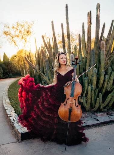 Gallery photo 8 of Acoustic/Electric Cellist