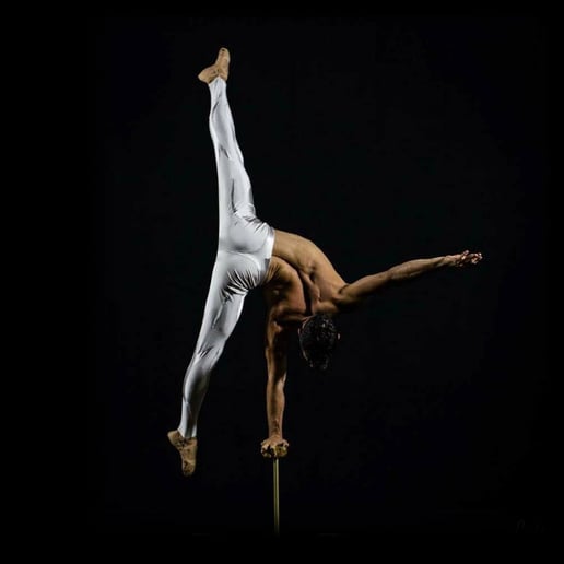 Gallery photo 9 of Acro Factory Entertainment