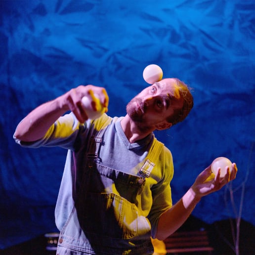 Gallery photo 9 of Circus EVO