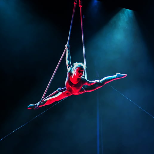 Gallery photo 11 of Circus EVO