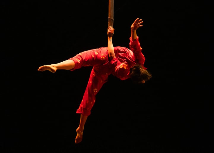 Gallery photo 12 of Circus EVO