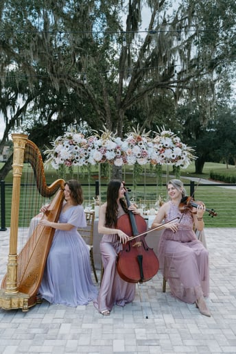 Gallery photo 3 of Adagio Weddings Strings