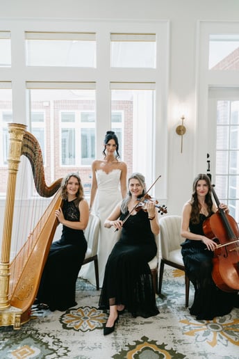 Gallery photo 4 of Adagio Weddings Strings