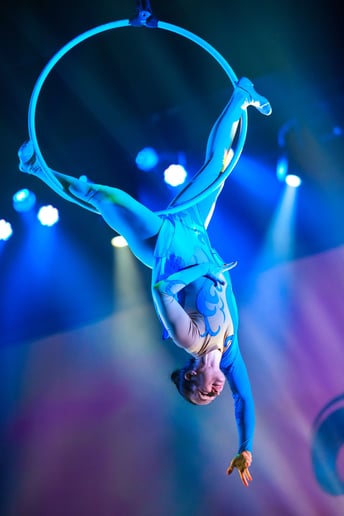 Gallery photo 5 of Aerial Adair