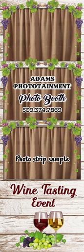 Gallery photo 8 of Photo Booth Rental Service by Adams Phototainment