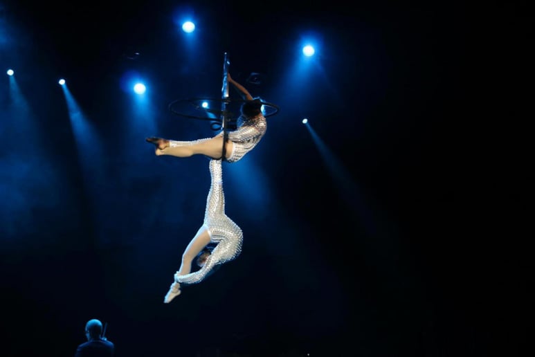 Gallery photo 10 of Aerial -contortion