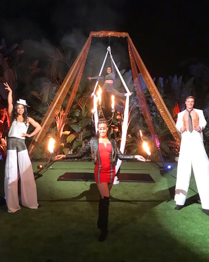 Gallery photo 3 of Circus Artist- Aerial, Hula Hoops, Fire