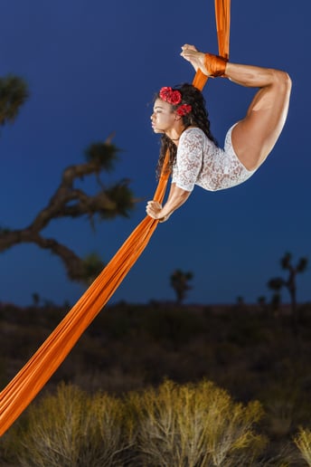 Gallery photo 5 of Circus Artist- Aerial, Hula Hoops, Fire