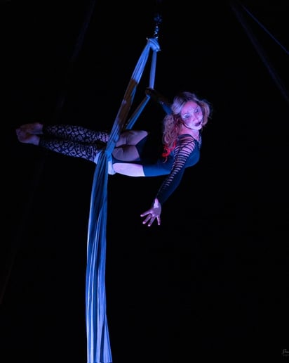 Gallery photo 1 of Aerial Acrobatic