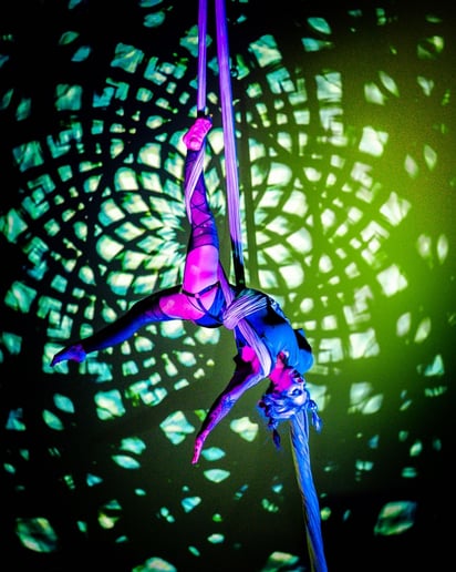 Gallery photo 3 of Aerial Acrobatic