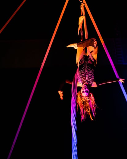 Gallery photo 6 of Aerial Acrobatic