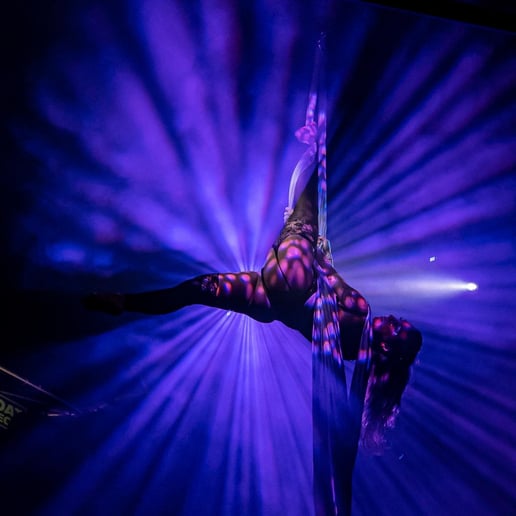 Gallery photo 8 of Aerial Acrobatic