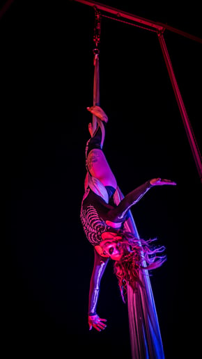 Gallery photo 9 of Aerial Acrobatic