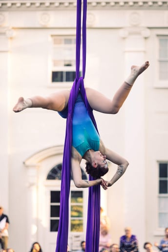 Gallery photo 3 of Aerial Acrobatic