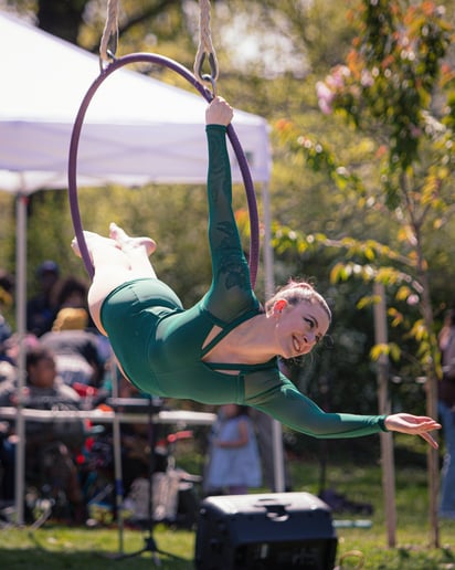 Gallery photo 4 of Aerial Acrobatic