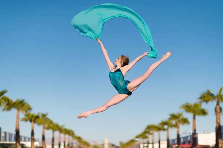 Gallery photo 9 of Aerial Adventures