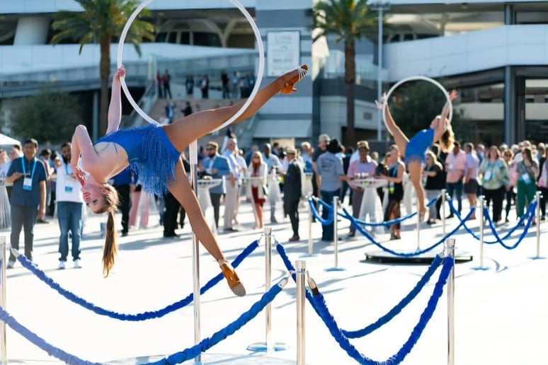 Gallery photo 2 of Aerial Adventures