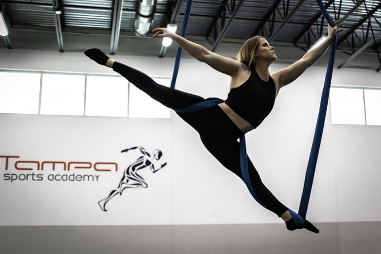 Gallery photo 2 of Aerial and Circus Arts by: Emily