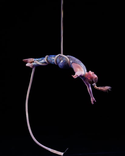 Gallery photo 4 of Aerial and Circus Arts by: Emily