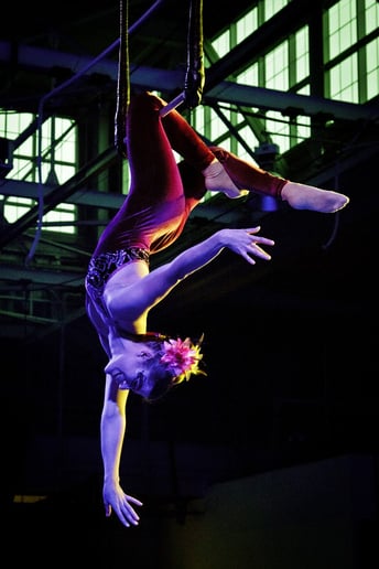 Gallery photo 10 of Aerial and Entertainment