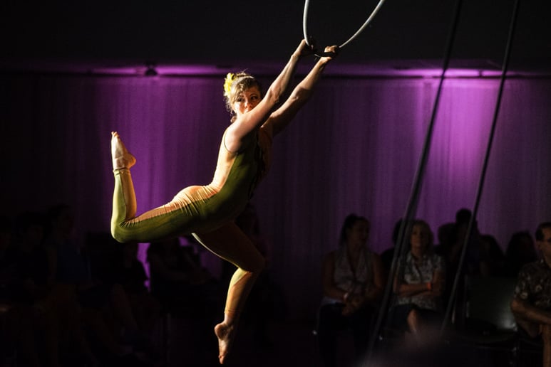 Gallery photo 7 of Aerial and Entertainment