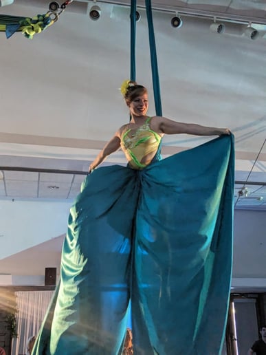 Gallery photo 12 of Aerial and Entertainment