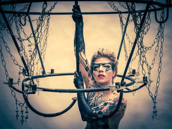 Gallery photo 14 of Aerial and Entertainment