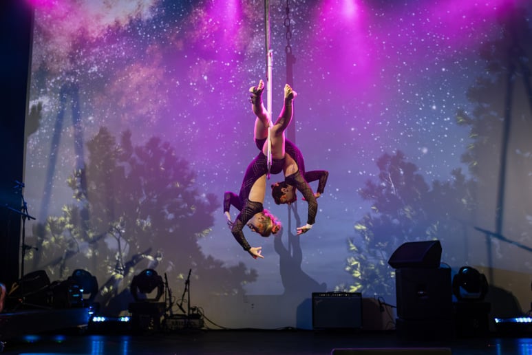 Gallery photo 8 of Aerial and Entertainment