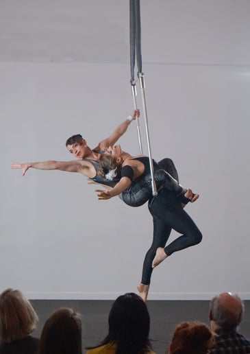 Gallery photo 19 of Aerial and Entertainment