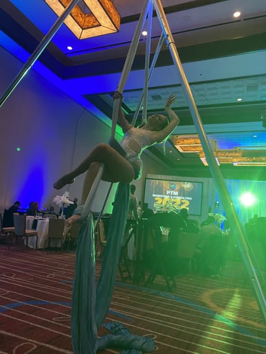 Gallery photo 6 of Aerial Arcana