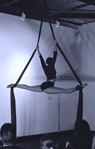 Gallery photo 1 of Aerial Artist Nichoel Ann