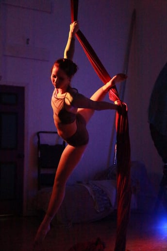 Gallery photo 5 of Aerial Artist Nichoel Ann