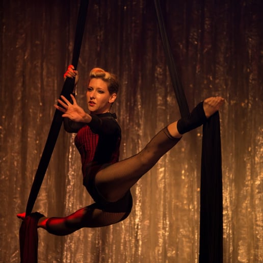 Gallery photo 1 of Aerial artist