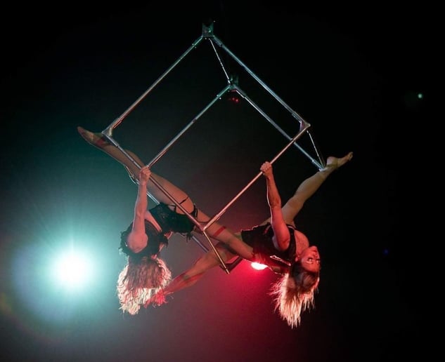 Gallery photo 3 of Aerial artist
