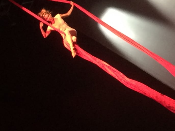 Gallery photo 5 of Aerial artist