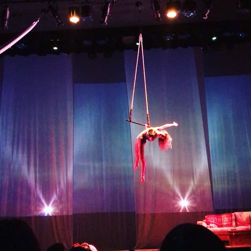 Gallery photo 7 of Aerial artist