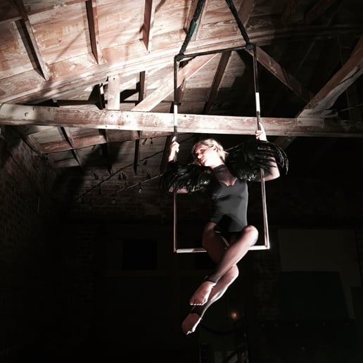 Gallery photo 8 of Aerial artist
