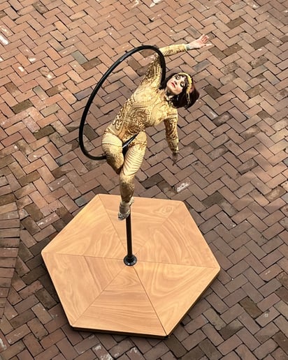 Gallery photo 8 of Aerial Artist, Amy Lopez-Caruso
