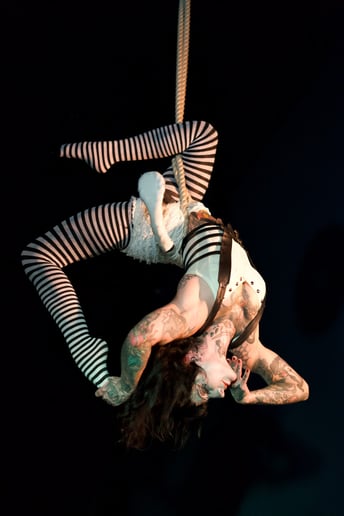 Gallery photo 10 of Aerial Artist, Amy Lopez-Caruso