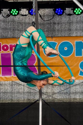 Gallery photo 1 of Aerial Artist